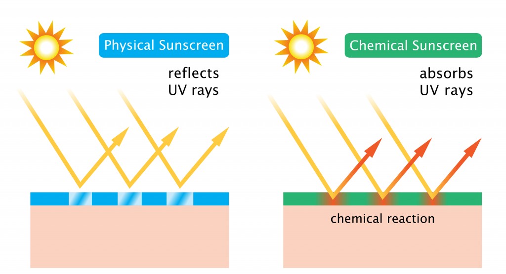 Infographics of how sunscreen work